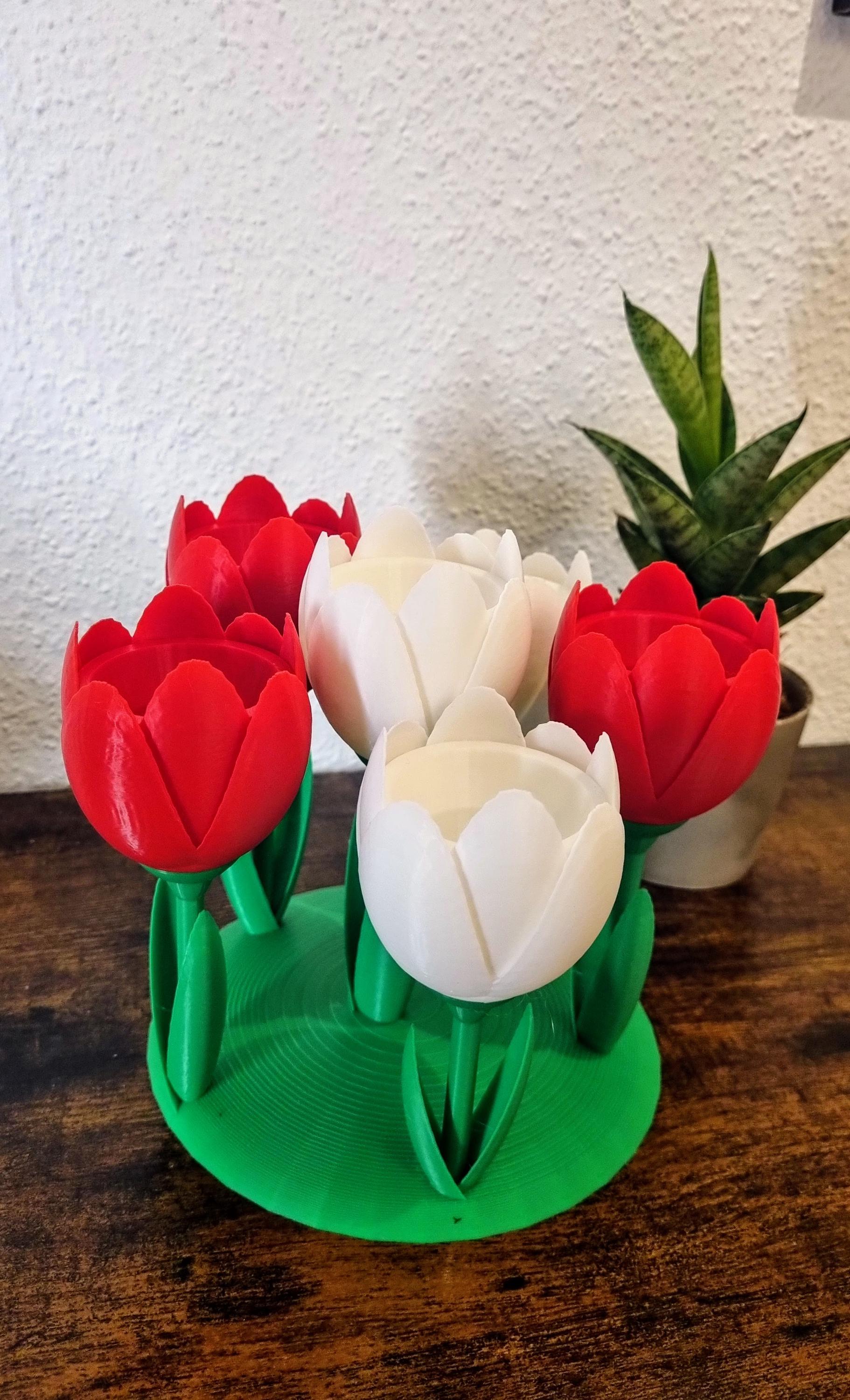 Tulip Flower Egg Holder – Unique Table Décor & Functional Storage