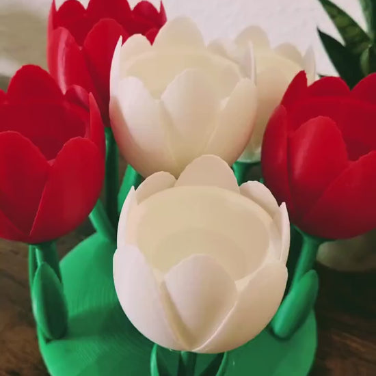 Tulip Flower Egg Holder – Unique Table Décor & Functional Storage