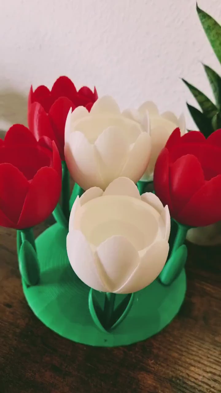 Tulip Flower Egg Holder – Unique Table Décor & Functional Storage